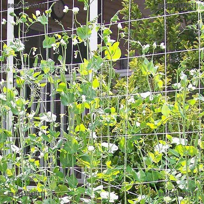 Lưới Giăng Trồng Cây Leo Tiện Lợi