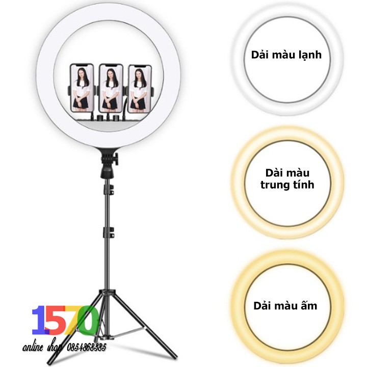 Đèn livestream cao cấp SEE U BEAUTY | Tùy chọn Size vừa 45' - 55W, Size cực đại 54' - 80W