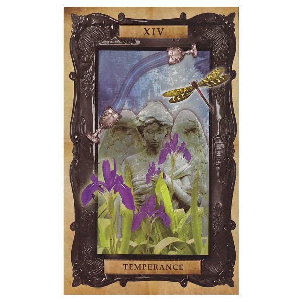 Bộ Bài Victorian Steampunk Tarot (Mystic House Tarot Shop) - Bài Gốc Authentic Chính Hãng 100%