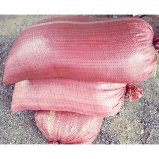Xơ dừa khô bao 50 lít ( 7 đến 10 kg/bao )