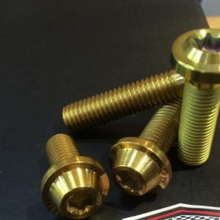 COMBO 2 ỐC GẮN BẢNG TÊN TITAN (PROTI - TITAN)