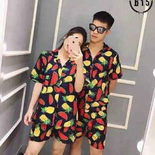 Bộ Hoa Quả đi biển