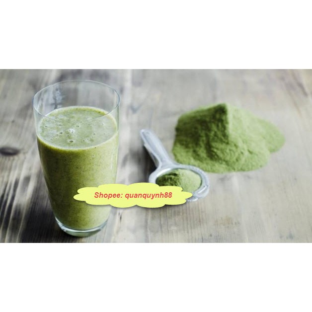 Bột Chùm ngây khách sỉ