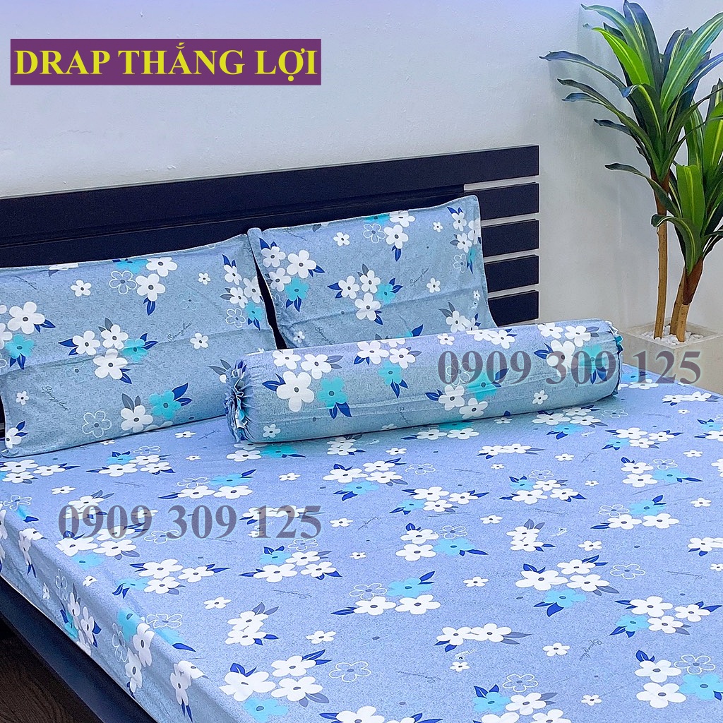 Drap Thắng Lợi, ga giường cao cấp cotton thoáng mát chuẩn logo mẫu HOA MAI XÁM