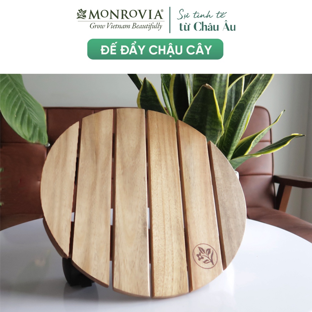 Đế lót chậu cây có bánh xe MONROVIA, có hộp cao cấp, màu vàng R30cm, tải trọng 80kg, chính hãng