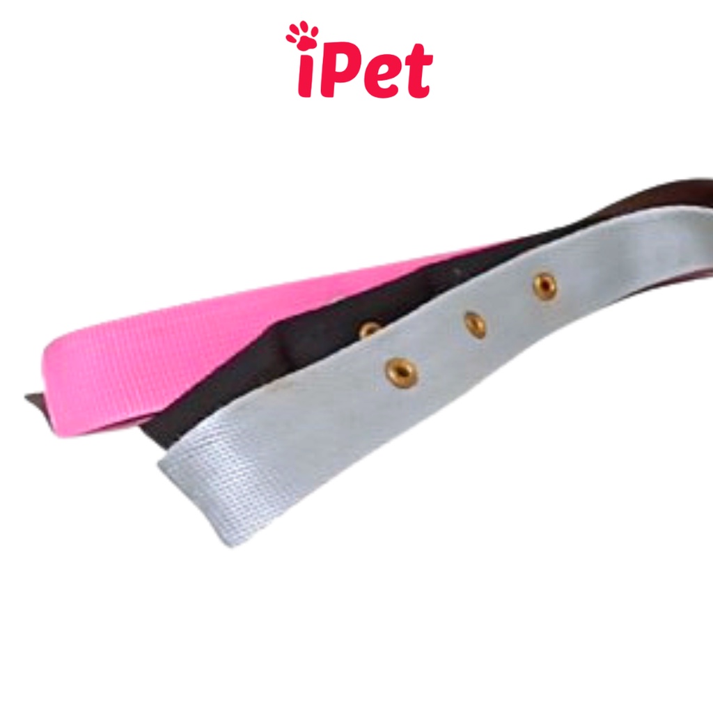 Vòng Cổ Lục Lạc Cho Thú Cưng Chó Mèo Dưới 5kg - iPet Shop