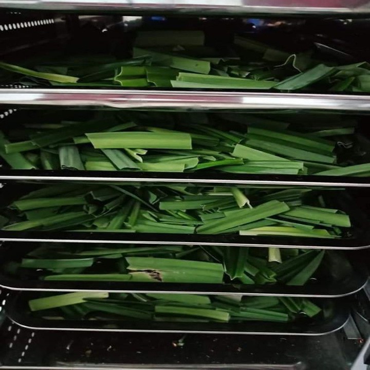 SÂM BÍ ĐAO GIẢI NHIỆT Date mới! .