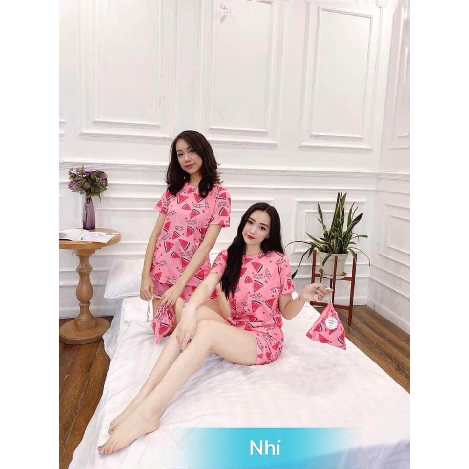 Đồ Bộ Nữ Mặc Nhà Dễ Thương Hình Trái Bơ Đủ Các Màu - Đồ Bộ Thun Nữ Mặc Nhà BTTL107 | BigBuy360 - bigbuy360.vn