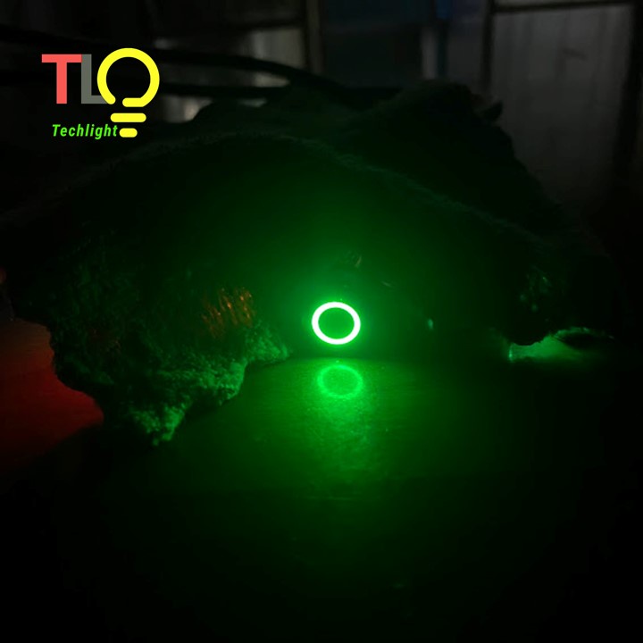Nút nhấn có đèn ON/OFF 12mm 9V 12V 24V 110V 220V chống nước