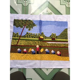 Combo 4 bức tranh 30x40 + 5bức 20x25cm