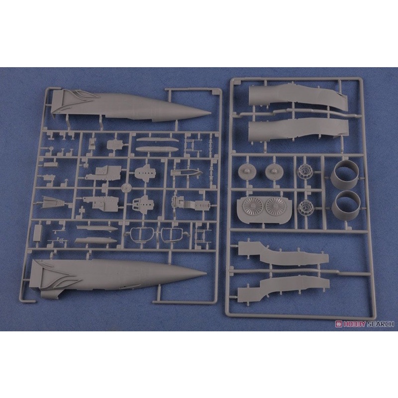 Mô Hình Máy Bay Russian MiG-31B/BM Foxhound 1/48