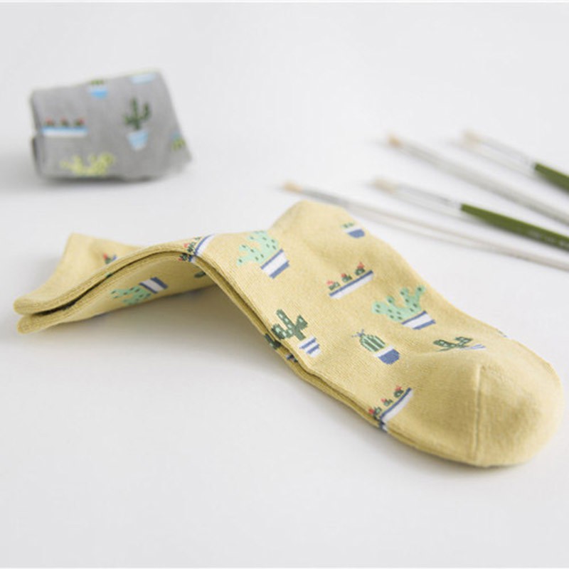 Vớ Cotton In Hình Cây Xương Rồng Dễ Thương