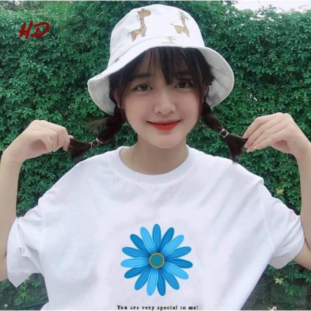 CHUYÊN SỈ Áo hoa cúc xanh HDC626 MK