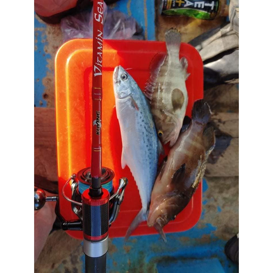 Máy câu cá Brown Bear, chất lượng cao, câu lure ghềnh,  câu jig đều tốt