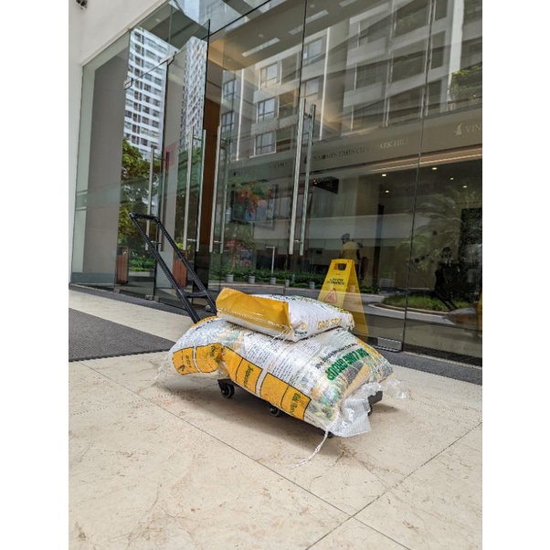 Gạo  ST24 AAN BAO 10KG CHÍNH HÃNG