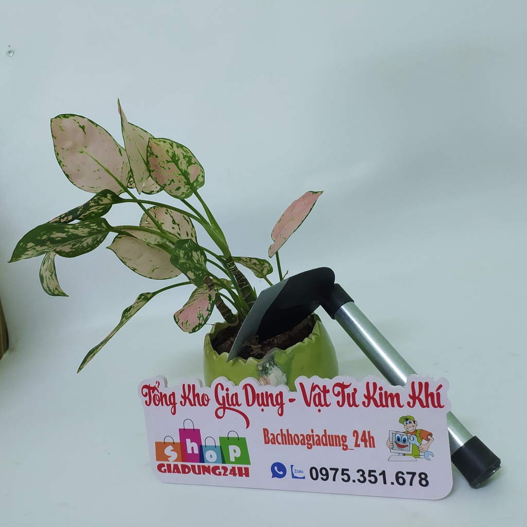 Combo 3 dụng cụ chăm sóc hoa, cây cảnh, rau cầm tay nhỏ.-Giadung24h