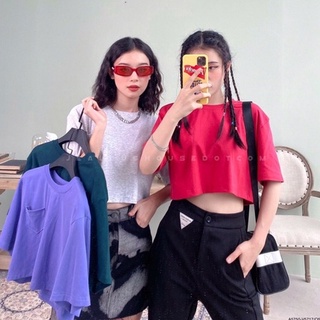Áo thun nữ, áo phông croptop basic ss01 Jealous product 5750