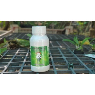 Phân bón hữu cơ charlee grow 21-21-21 plus