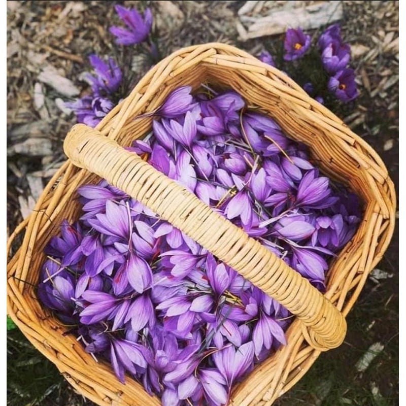 Safron Bahraman Tây á ngâm mật ong ( 3gr :300ml) | BigBuy360 - bigbuy360.vn