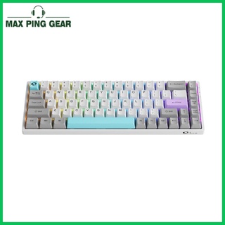 Bàn phím cơ AKKO 3068B Multi-modes Silent (Bluetooth 5.0 / Wireless 2.4Ghz / Hotswap / Foam tiêu âm / AKKO CS Jelly sw)