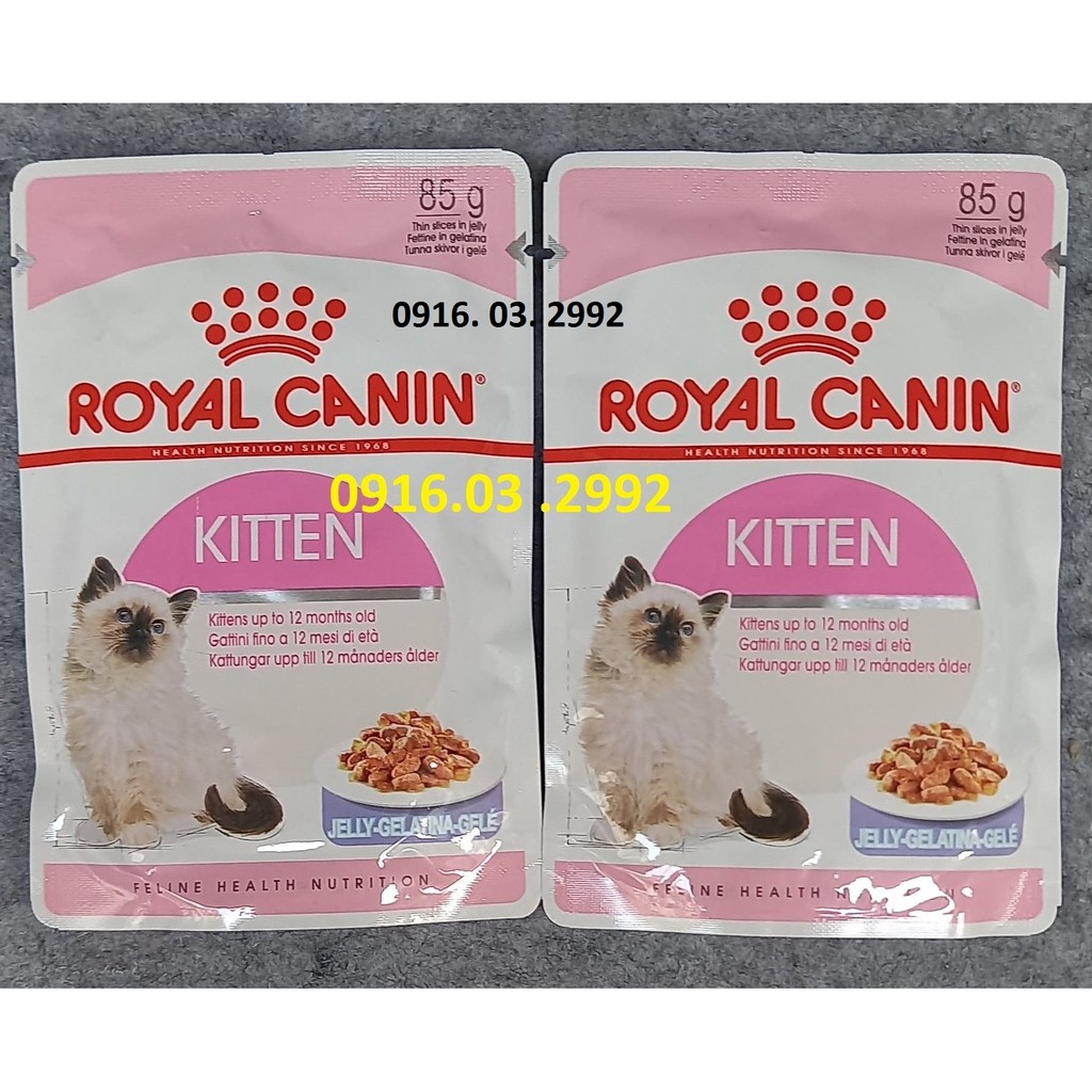 Pate cho mèo con Royal Canin Kitten