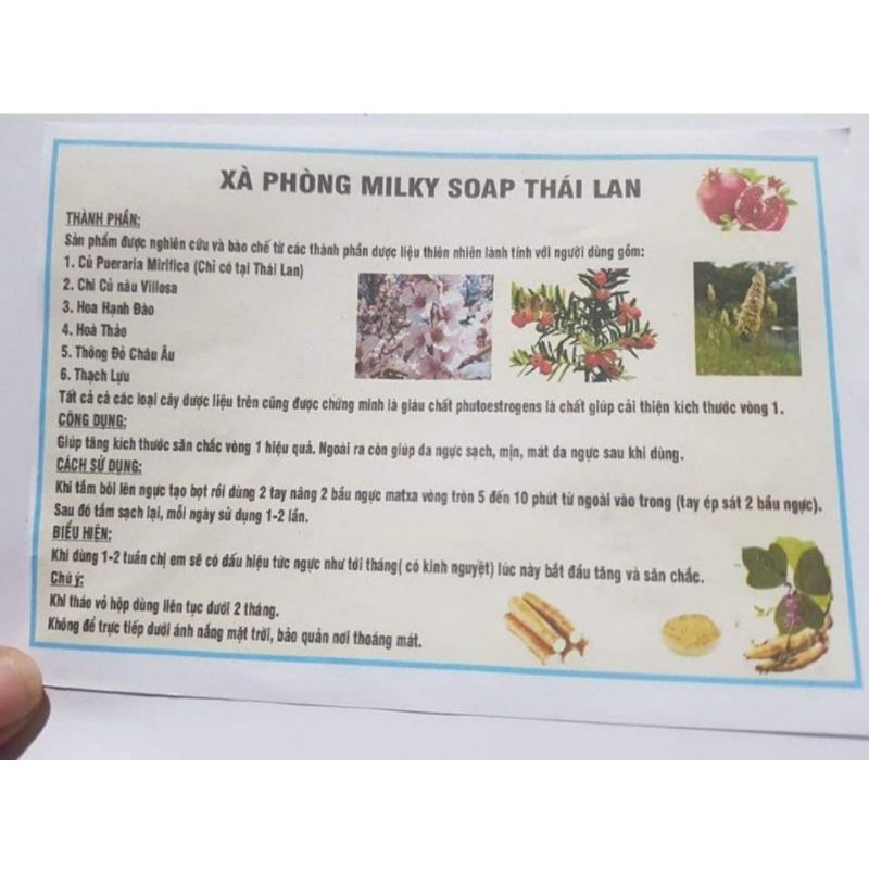 XÀ PHÒNG NỞ NGỰC Milky Soap Thái Lan chính hãng TẶNG TÚI LƯỚI + THƯỚC DÂY | BigBuy360 - bigbuy360.vn