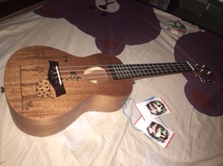 Ukulele concert
