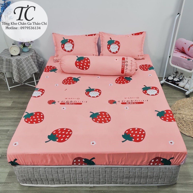 Bộ Ga Gối Coton Poly -  Bộ 3 Món (1 Ga+ 2 Vỏ Gối ) Đủ Size- Được Chọn Mẫu | BigBuy360 - bigbuy360.vn