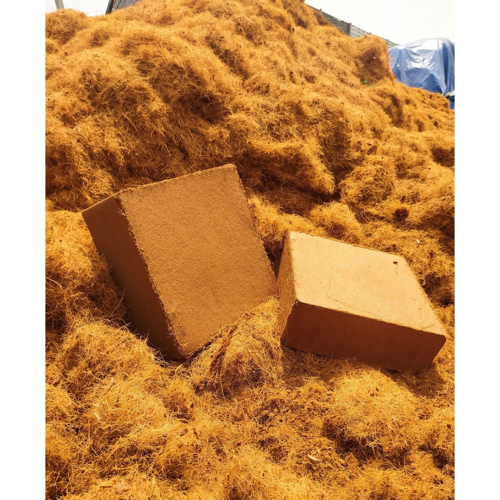 Xơ dừa nén 5KG, trồng cây rau mầm (viên lớn)