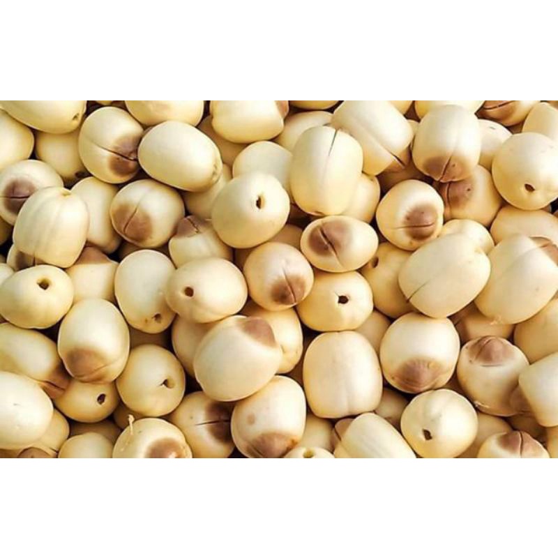 HẠT SEN KHÔ SẤY 500G ngon bở sạch sẽ