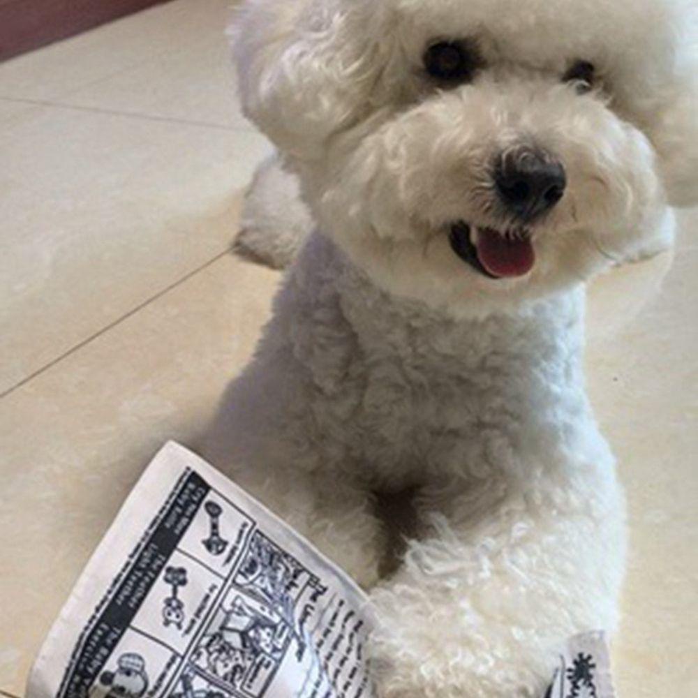 MIQUEL Đồ Chơi Khăn Giấy Báo Chống Cắn Thay Thế Vui Nhộn Huấn Luyện Thú Cưng