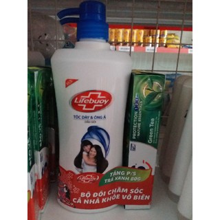 Dầu gội Lifebuoy Tóc dày óng ả chai 640g