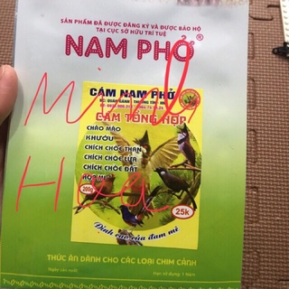 Cám chim nam phở chào mào chích chòe vành khuyên