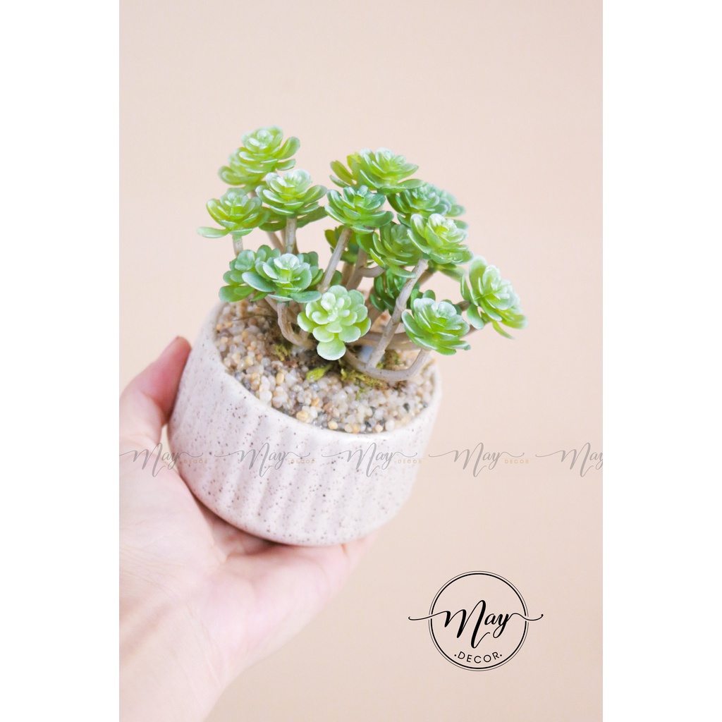 Cây giả,Sen đá tầng giả trang trí chậu vân gốm cát