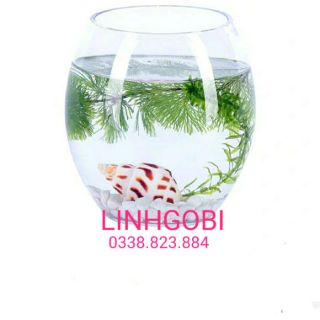 BỂ CÁ THỦY TINH MINI ĐỂ BÀN - BỂ CÁ HÌNH BẦU DỤC