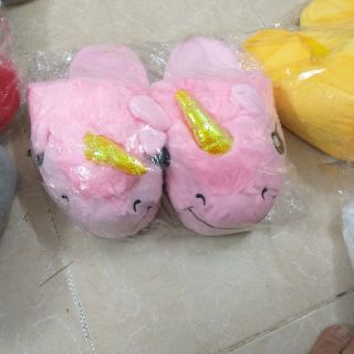 Dép thú mang trong nhà