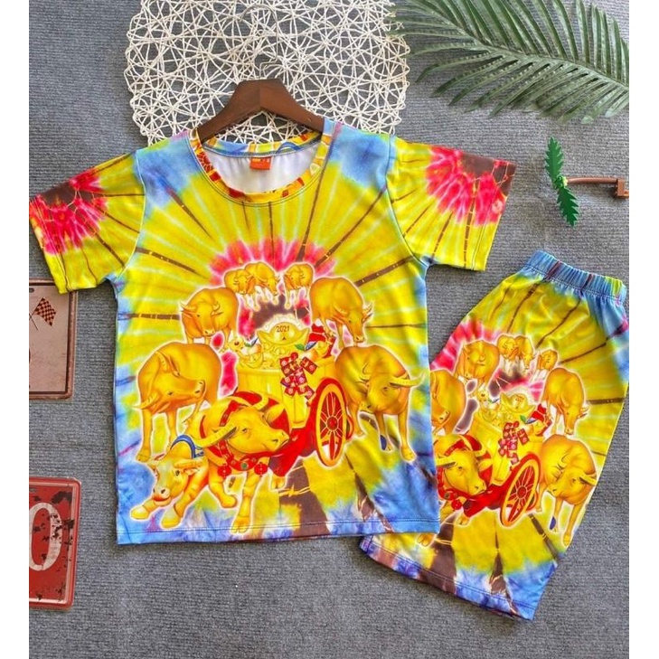 Bộ tay ngắn quần đùi thun 3d hàng shop cho bé size đại