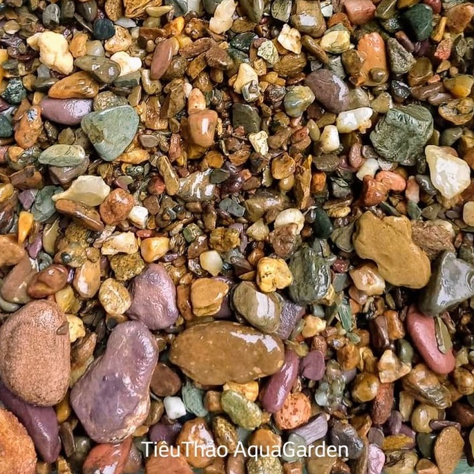 Sạn Suối Ngũ Sắc - Sạn Suối Đỏ - Sạn Suối Xám | Bao 200g - 500g - 1kg | Trang Trí Nền Hồ Biotop- Hồ Cá Cảnh..