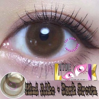 Lens nâu nhạt dãn nhỏ kèm khay