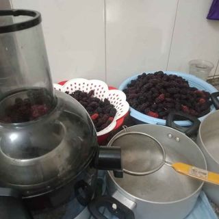 Siro Dâu Tằm - Nấm Sữa Kefir.
