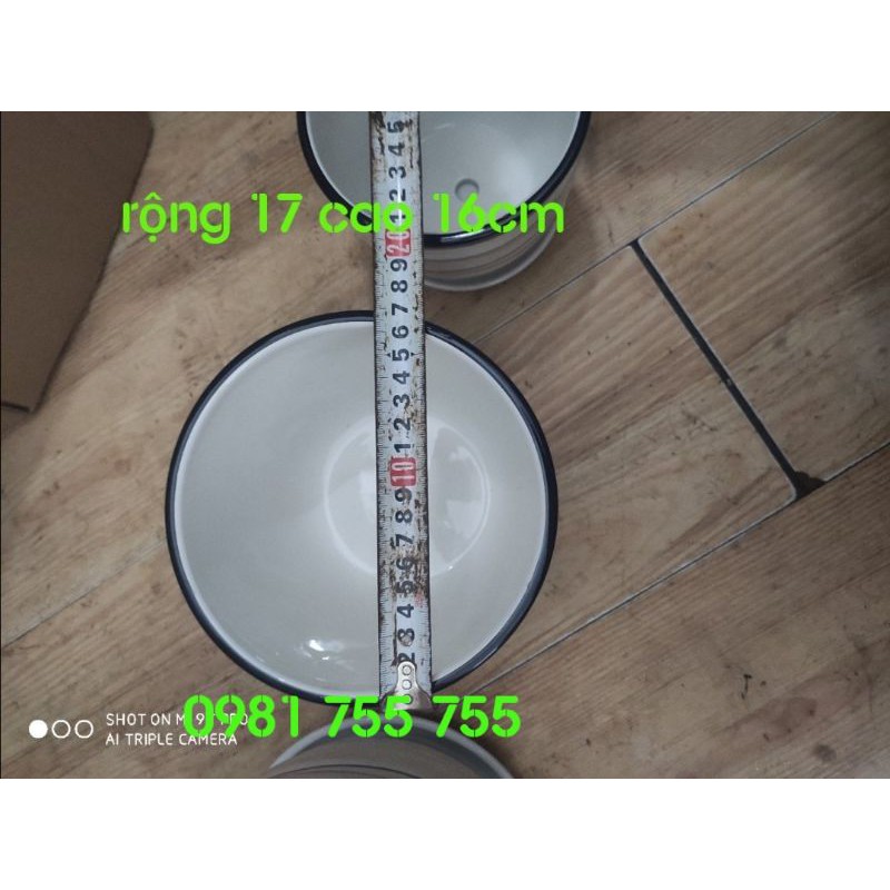 Combo 3 Chậu trồng cây liền đĩa gốm sứ Cao Cấp