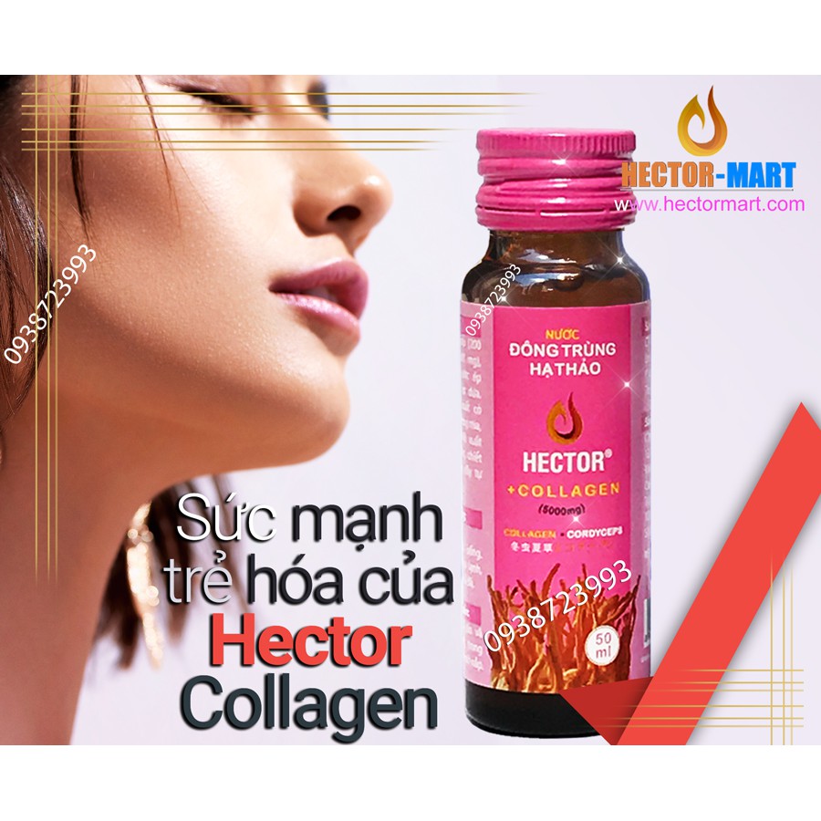 ✅ COMBO 5 hộp 50 chai [COLLAGEN Đông Trùng Hạ Thảo] HECTOR dạng nước, giúp Trắng da, trẻ hóa và tăng cường sức khỏe tốt