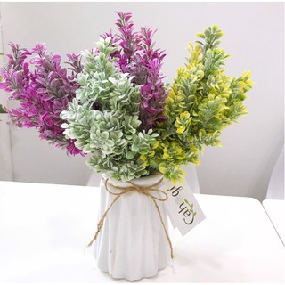 Cây Trang Trí - Cây Cỏ Sữa 30Cm