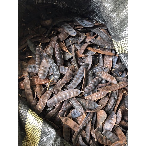 Bồ kết khô giá siêu rẻ 1kg