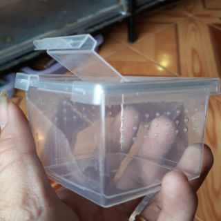 Tank nuôi nhện size sling