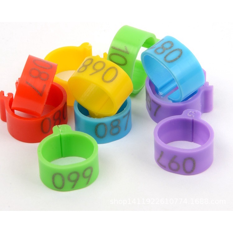 Dây rút, Vòng đánh dấu chân gà Mỹ/ gà nòi/ gà tre