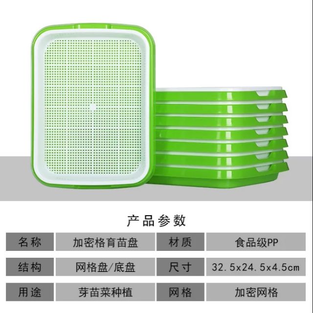 Khay trồng cỏ mèo