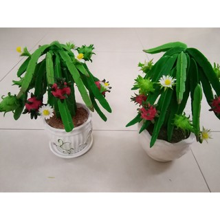 Cây Thanh Long đất sét (hàng thủ công)