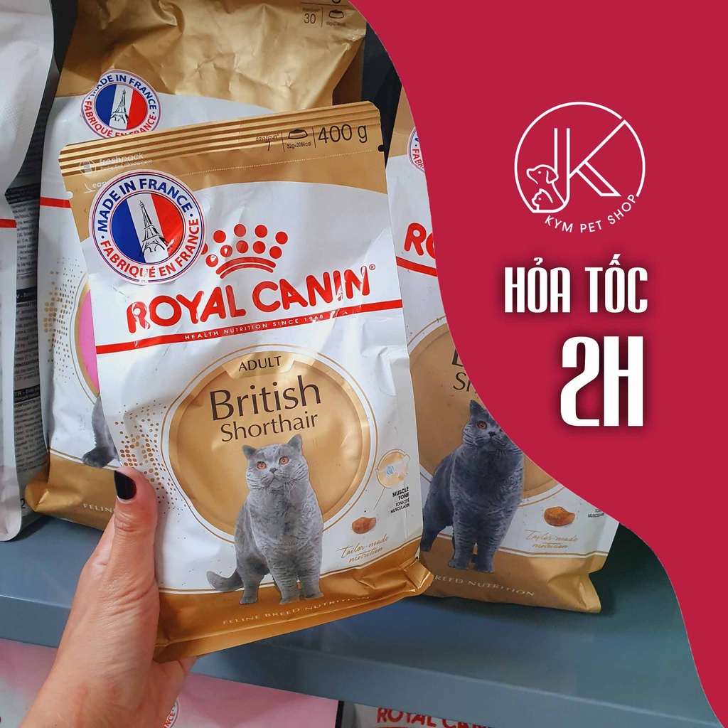 ROYAL CANIN BRITISH SHORTHAIR - Thức ăn hạt khô dành riêng cho giống mèo Anh lông ngắn