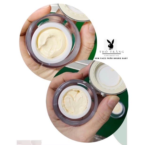 Kem face phấn nhung baby